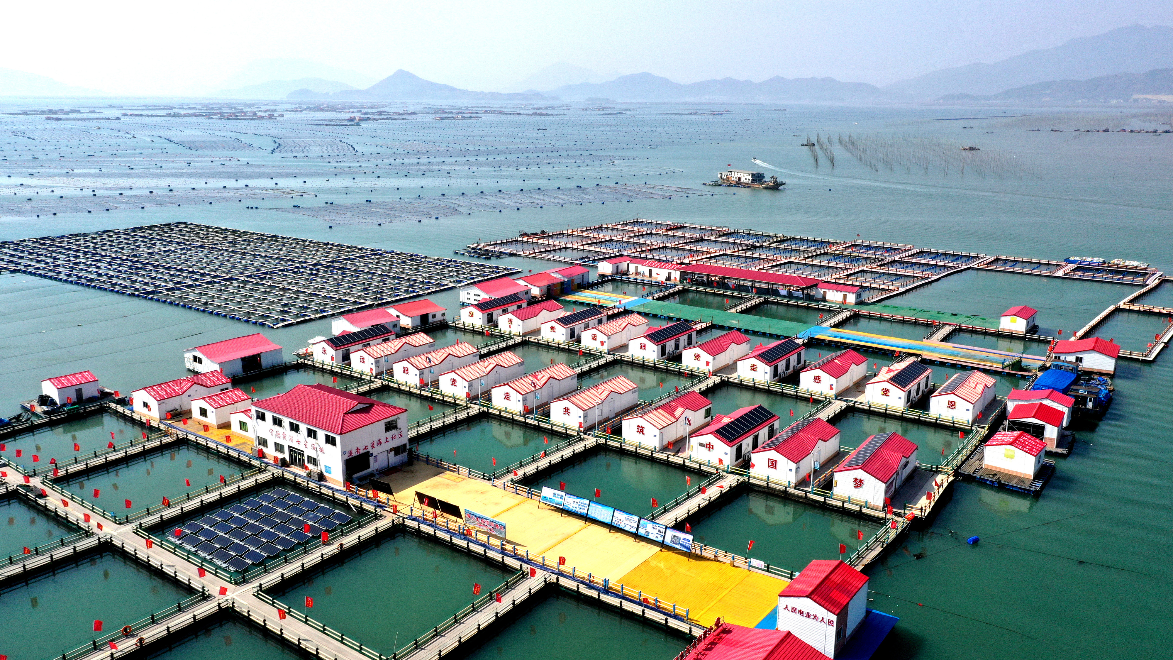 2024年3月20日，福建省寧德市，霞浦縣溪南鎮(zhèn)七星村漁排養(yǎng)殖示范區(qū)，漁民駕駛養(yǎng)殖船進(jìn)行海參養(yǎng)殖作業(yè)。